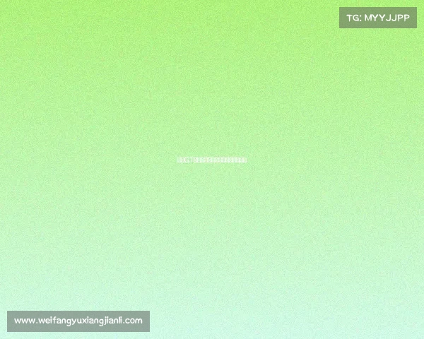 中国GT赛事精彩回放重温速度与激情瞬间