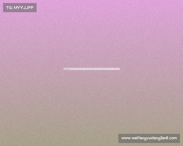 NBA篮球赛事体系全面解析涵盖季前赛常规赛季后赛总决赛及全明星赛完整内容